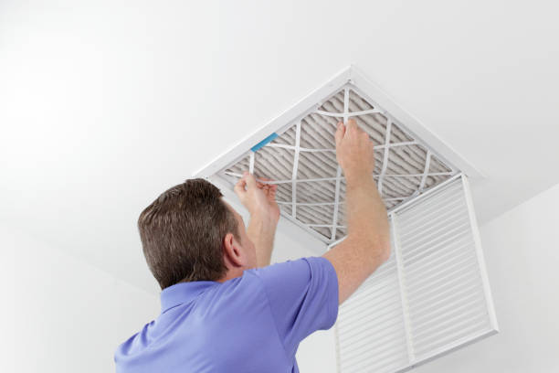 Best Home Air Vent Cleaning  in Fernley, NV